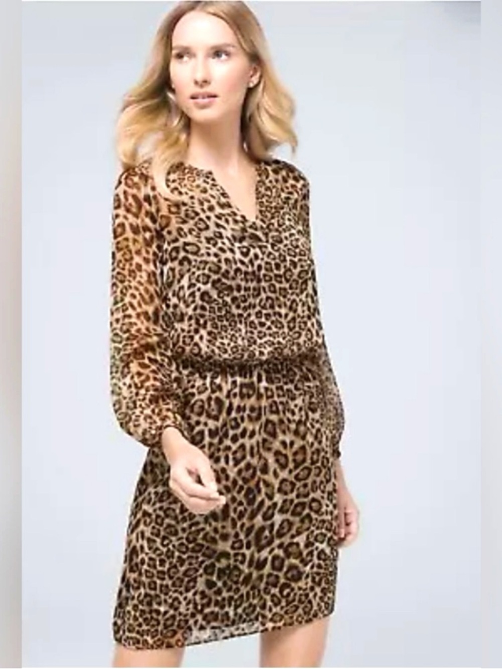 White House Black Market Leopard Dress